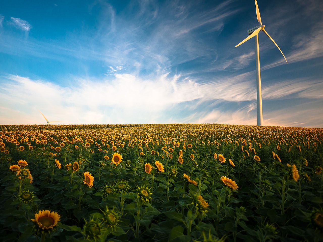 How Covid-19 is Accelerating the Push for Green Energy